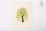 willow-tree-pop-up-card-01