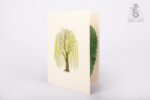 willow-tree-pop-up-card-02