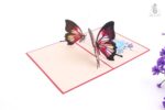 couple-butterflies-pop-up-card-red-01