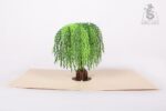 willow-tree-pop-up-card-04