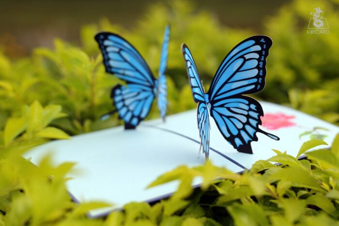 couple-butterflies-pop-up-card-blue-03
