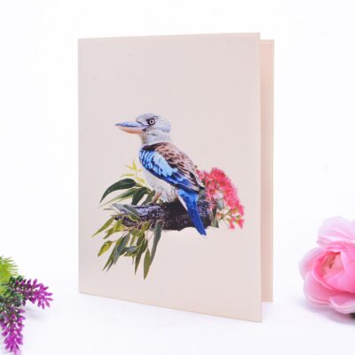 laughing-kookaburra-bird-pop-up-card-05
