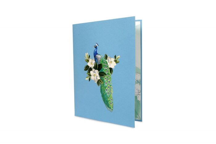 new-peacock-pop-up-card-04