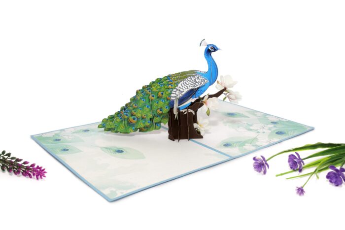 new-peacock-pop-up-card-02