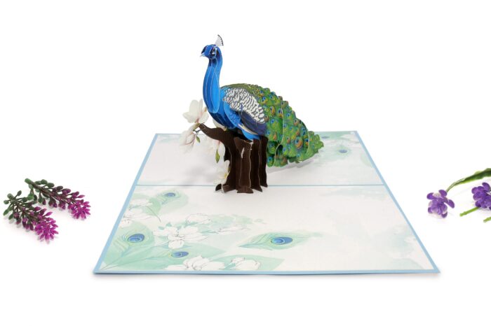 new-peacock-pop-up-card-01