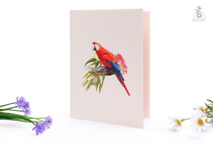 parrot-3-pop-up-card-03
