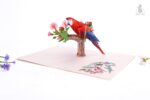 parrot-3-pop-up-card-04