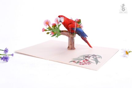 parrot-3-pop-up-card-04