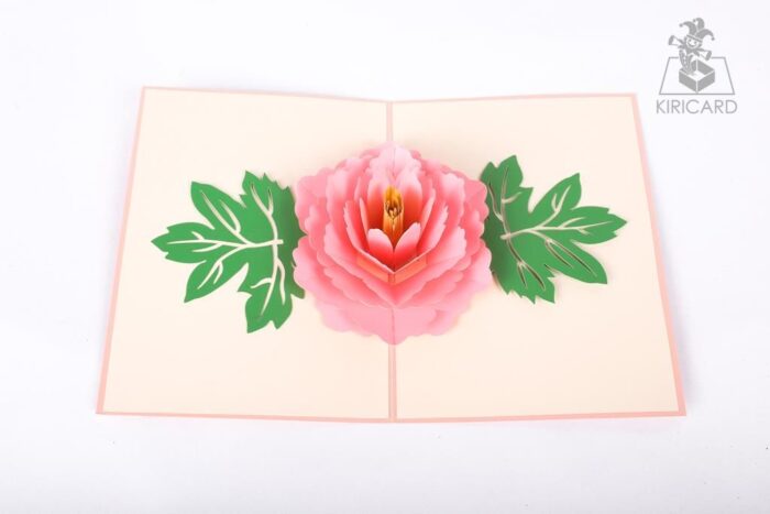 pink-rose-bloom-pop-up-card-02