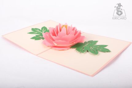 pink-rose-bloom-pop-up-card-04