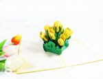 yellow-tulips-pop-up-card-02