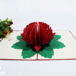 waratah-flower-pop-up-card-04