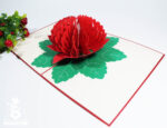 waratah-flower-pop-up-card-01
