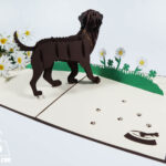 black-lab-pop-up-card-04