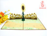 sunflower-pop-up-card-04