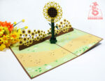 sunflower-pop-up-card-01