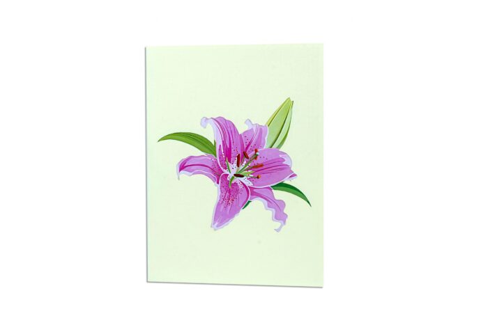 lily-bloom-pop-up-card-07