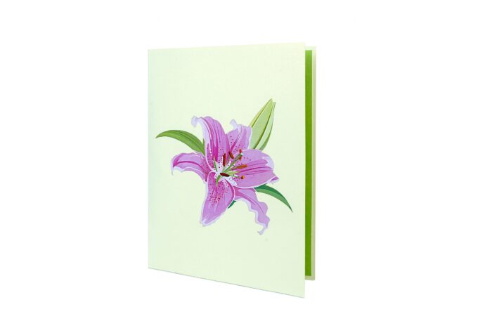 lily-bloom-pop-up-card-06