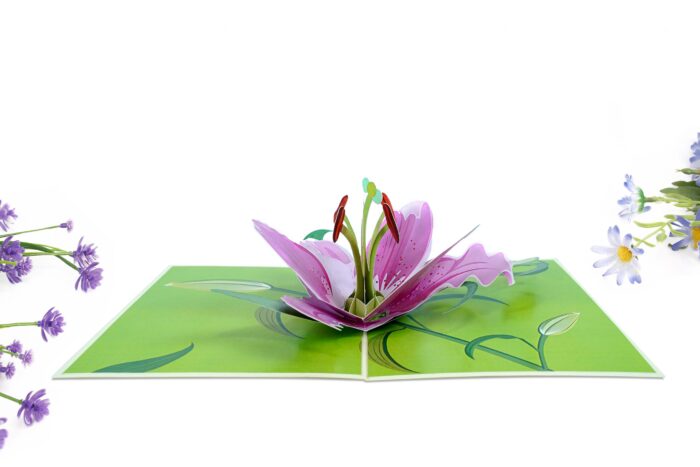 lily-bloom-pop-up-card-05