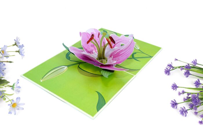 lily-bloom-pop-up-card-04