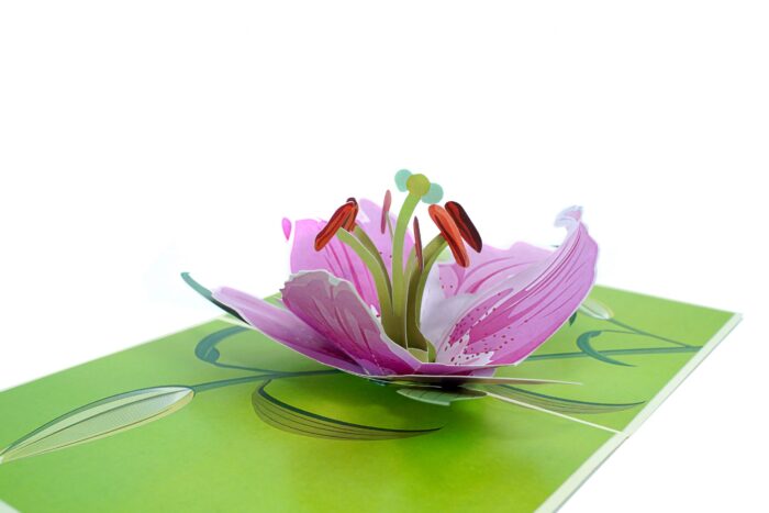 lily-bloom-pop-up-card-03