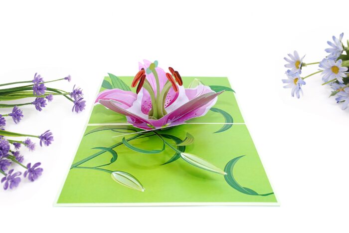 lily-bloom-pop-up-card-02