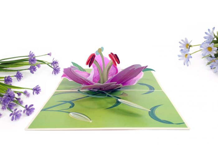 lily-bloom-pop-up-card-01
