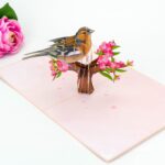 chaffin-pop-up-card-06