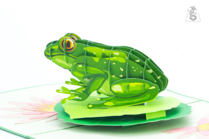 green-frog-pop-up-card-05