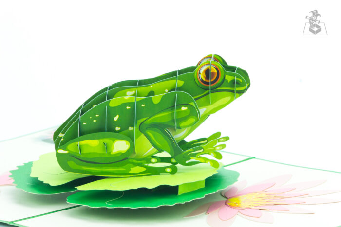 green-frog-pop-up-card-03