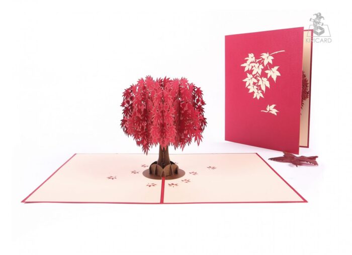 red-maple-tree-pop-up-card-01