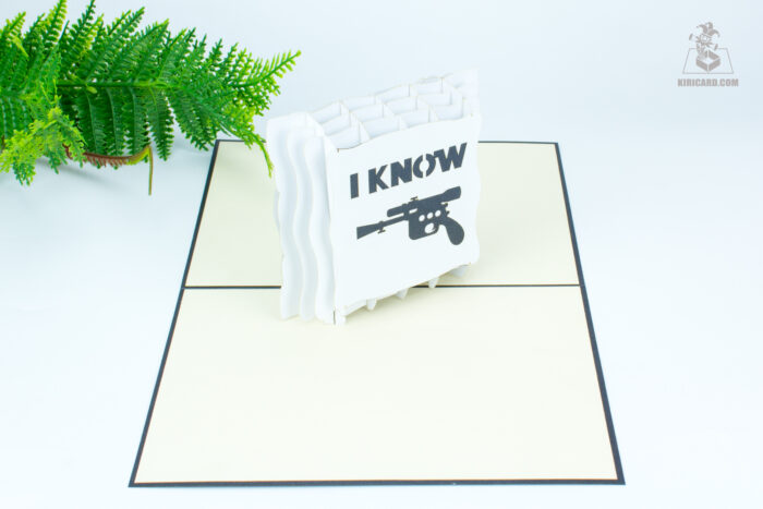 i-know-pillow-pop-up-card-01