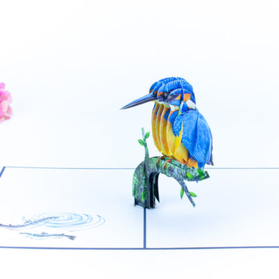 kingfisher-pop-up-card-04
