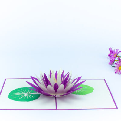water-lily-bloom-pop-up-card-purple-04