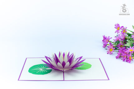 water-lily-bloom-pop-up-card-purple-04