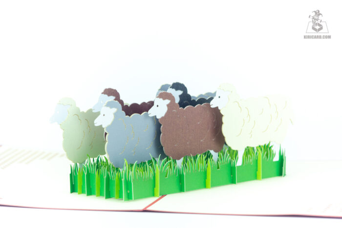 flock-of-sheep-pop-up-card-02