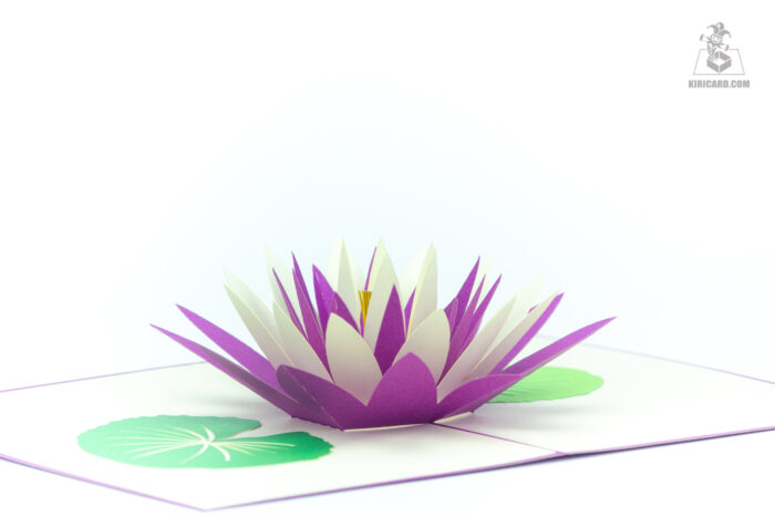 water-lily-bloom-pop-up-card-purple-02
