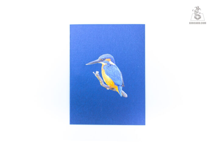 kingfisher-pop-up-card-01