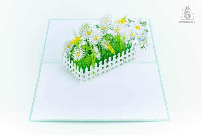daisies-garden-pop-up-card-03