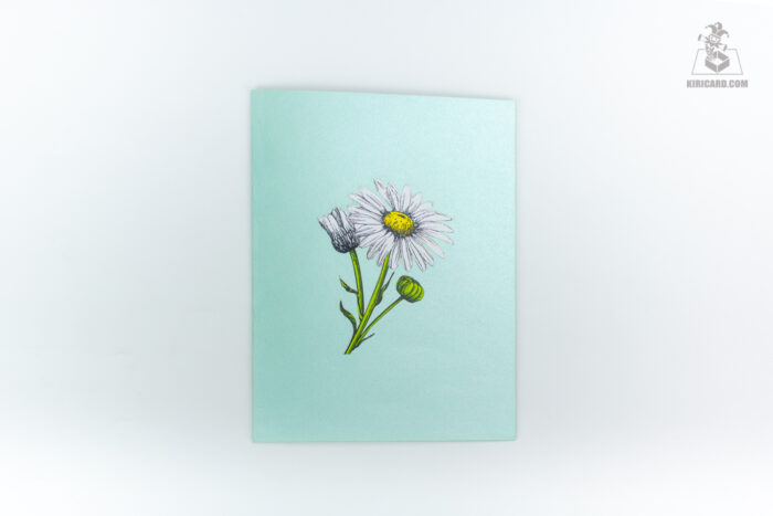 daisies-garden-pop-up-card-01