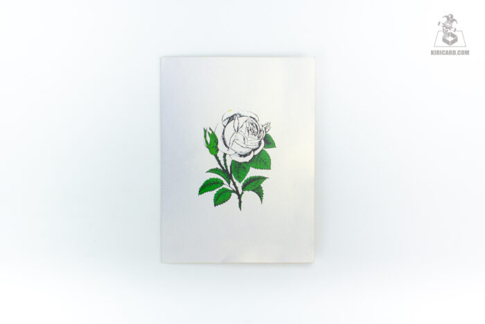 white-roses-pop-up-card-01