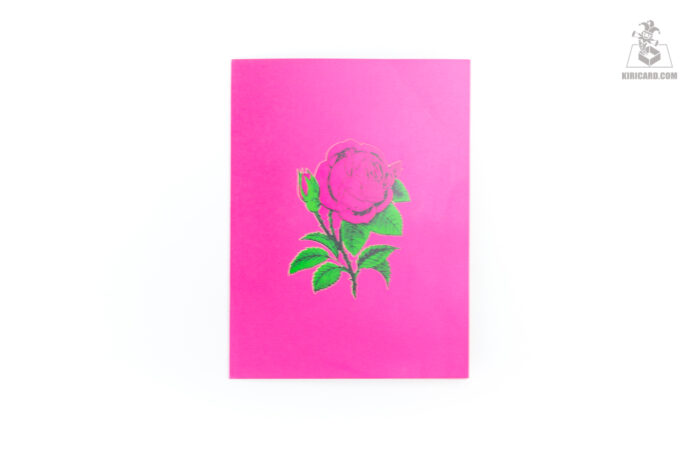 dark-pink-roses-popup-card-01