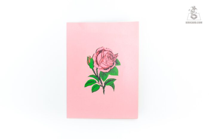 rough-pink-roses-pop-up-card-01