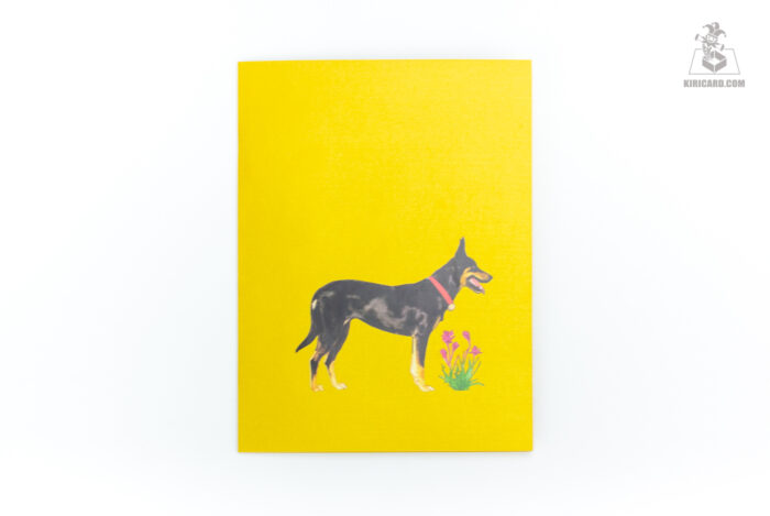 australian-kelpie-dog-pop-up-card-black-01
