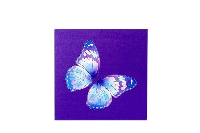 magical-butterfly-box-pop-up-card-06