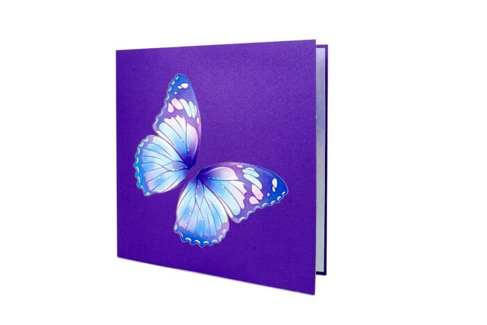 magical-butterfly-box-pop-up-card-05