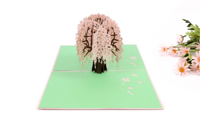 weeping-cherry-blossom-pop-up-card-02