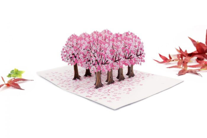 cherry-blossom-street-pop-up-card-03