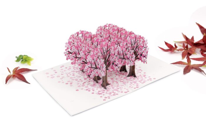 cherry-blossom-street-pop-up-card-01