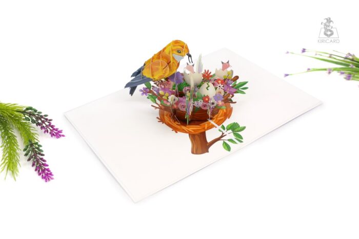 bird-nest-pop-up-card-01